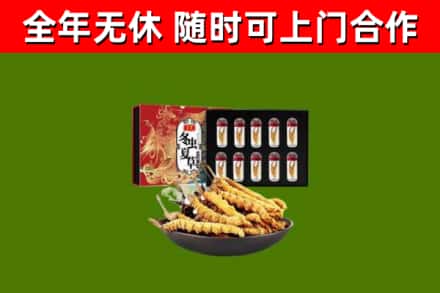 新城回收冬虫夏草价格
